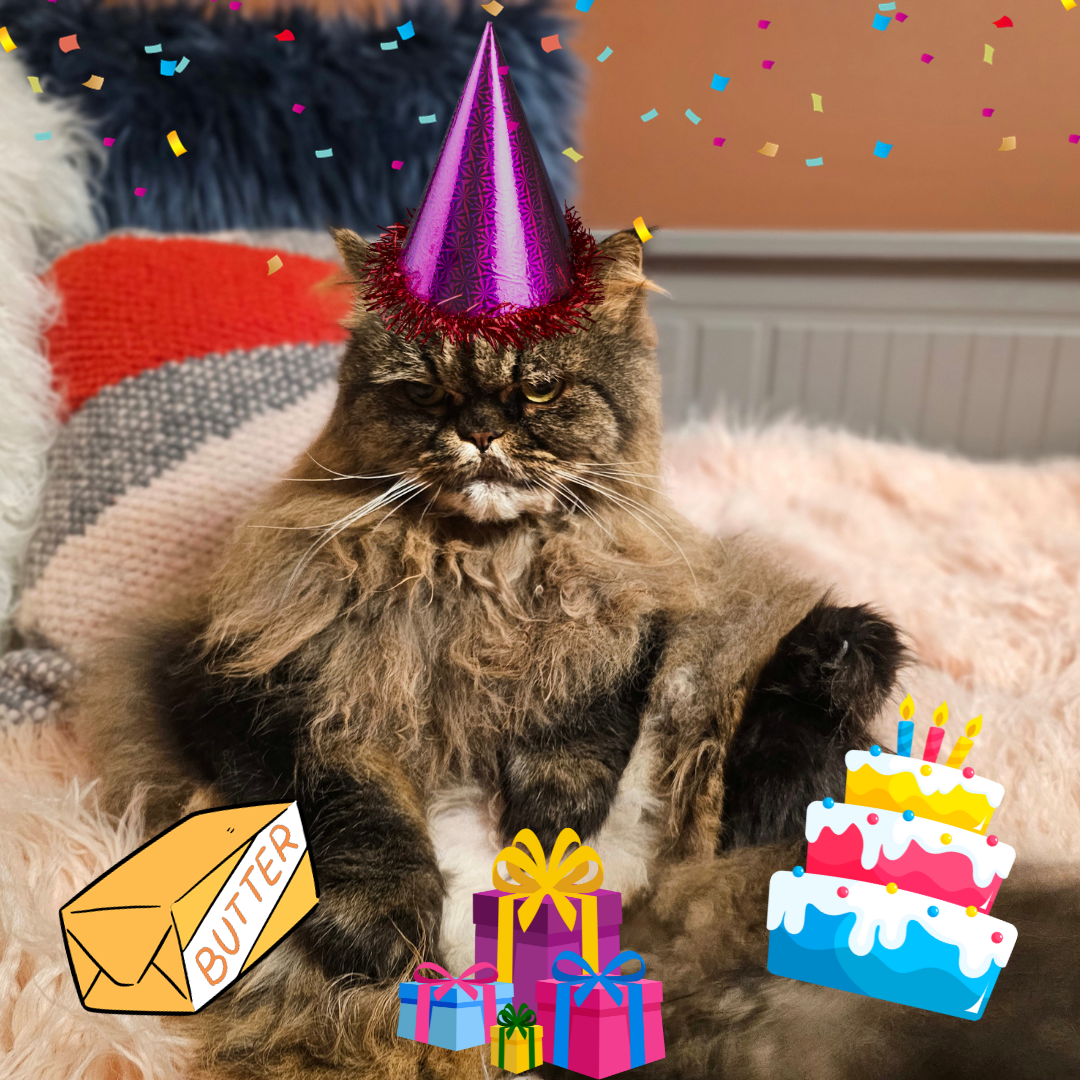 Boo Boo Birthday
