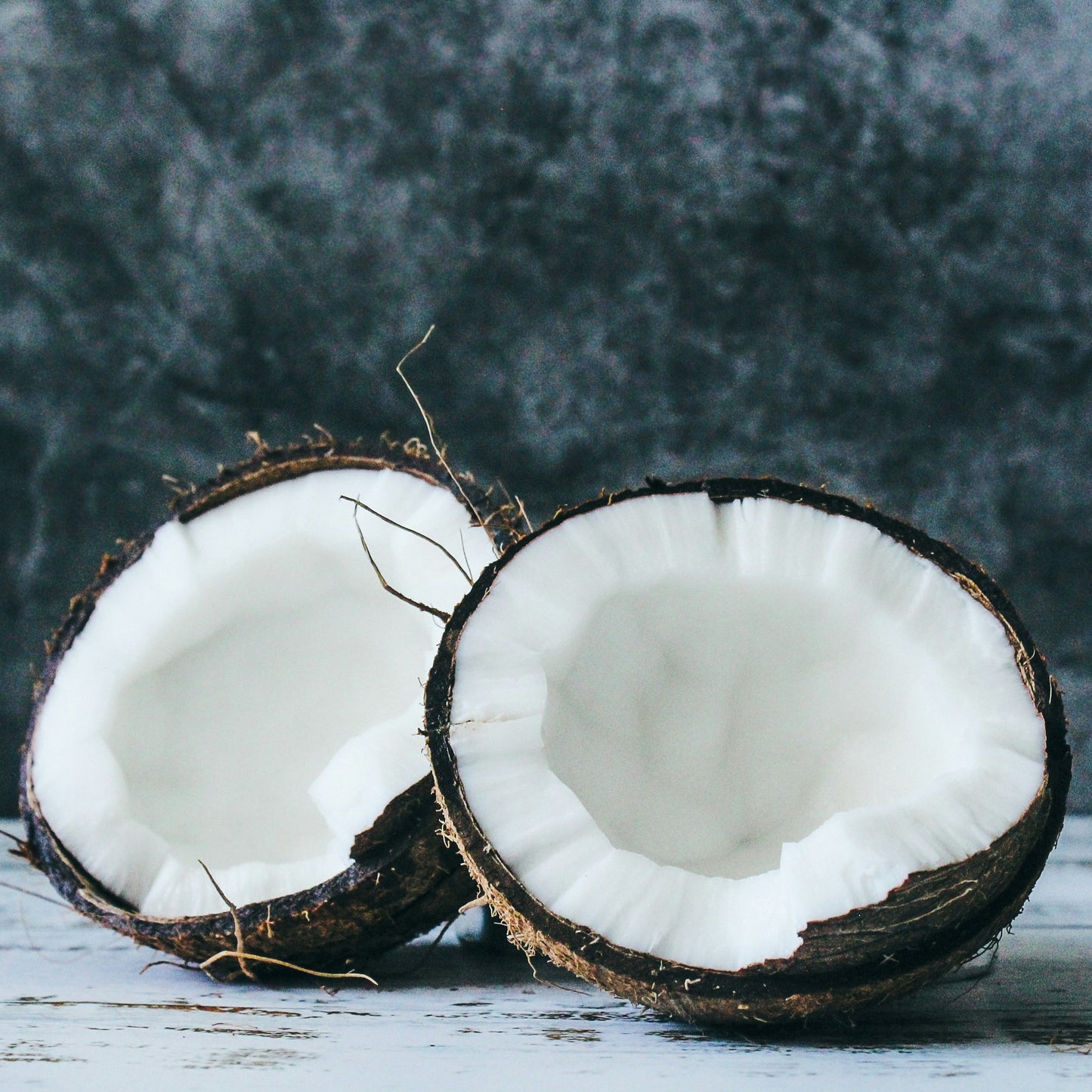 Wild Winter Coconut