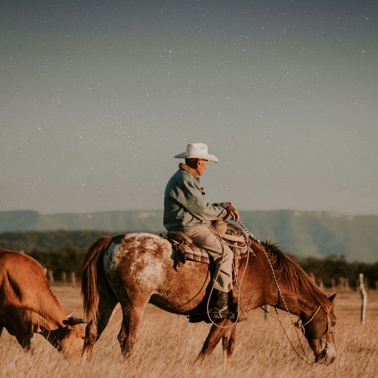 Cowboy Tears