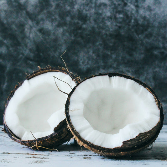 Wild Winter Coconut